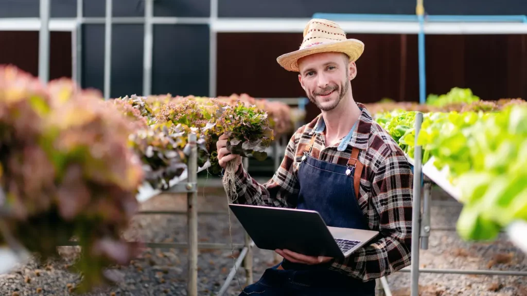 Declaração De Imposto De Renda Para Agronegócios - Persistere