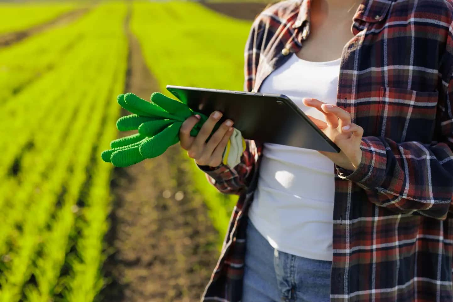 Regime Tributário No Agronegocio (1) - Persistere