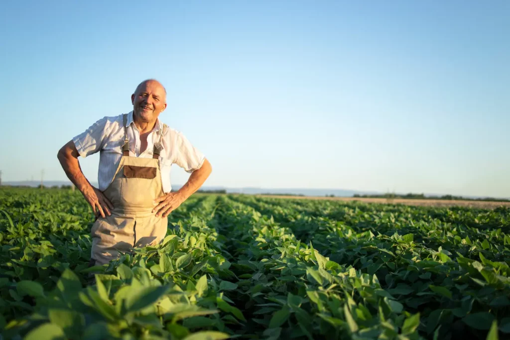 Reduza Custos E Aumente Lucros No Agronegócio Com Estratégias Eficazes - Persistere